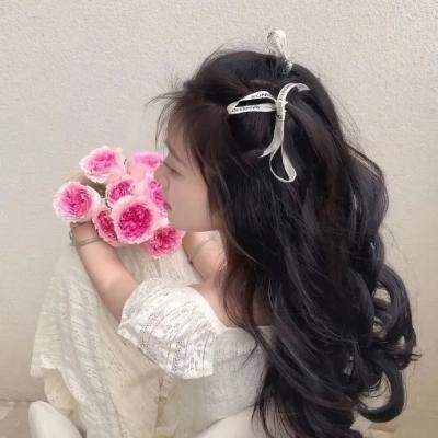 超完美狗保姆